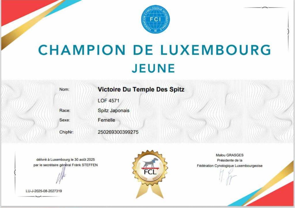 Jeune champion